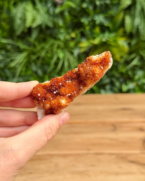 A hand holding a rough orange-brown crystal cluster with white salt-like crystals, set against a blurred green foliage background and wooden tabletop.