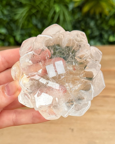 Clear crystal lotus shaped dish held by a hand with a blurred green plant background