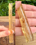 copal with insect inclusions 