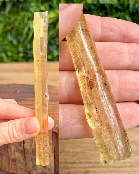 copal with insect inclusions 
