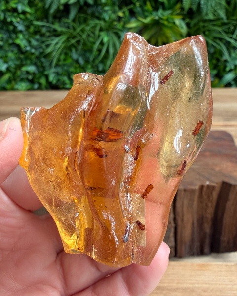 copal resin held up with bug inside