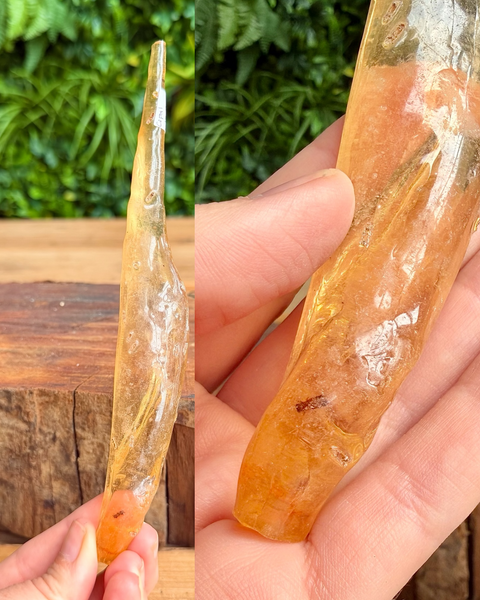 bug in amber held in hand