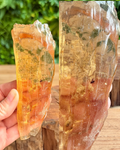 copal with insect inclusions inside