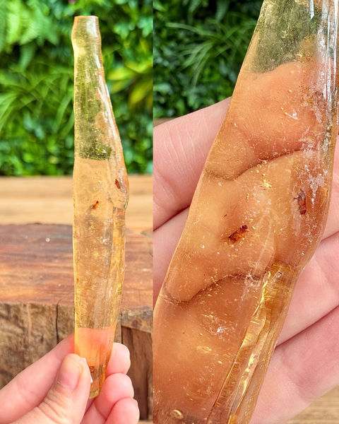 close up of crystal amber with bug inside