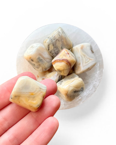 crazy lace agate tumble stones 