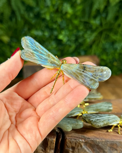 Labradorite dragonfly