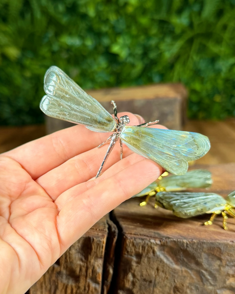 Labradorite dragonfly