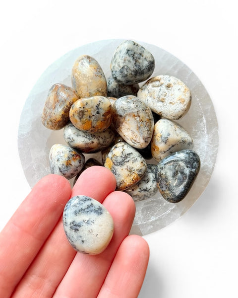 Hand holding dendritic agate tumble stone