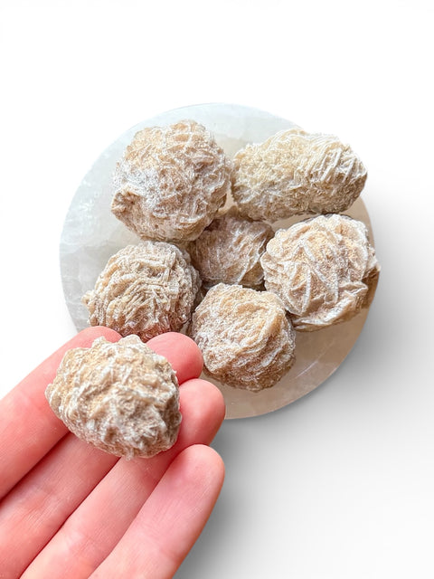 Hand holding desert rose selenite crystal