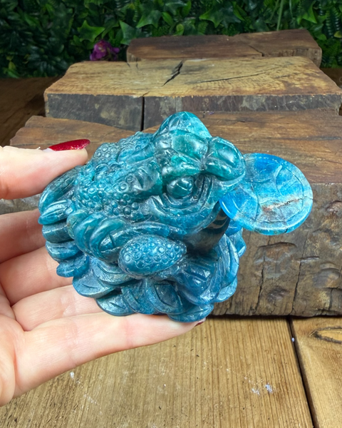 Money Toad with Removable Coin | Feng Shui Wealth Frog for Prosperity & Luck