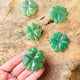 Aventurine Four Leaf Clover