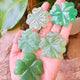 Aventurine Four Leaf Clover