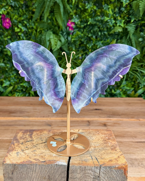 Fluorite butterfly wing carving on gold stand with translucent purple and green banding.