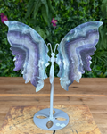 Fluorite butterfly wing crystal carving on silver stand with purple and green bands.