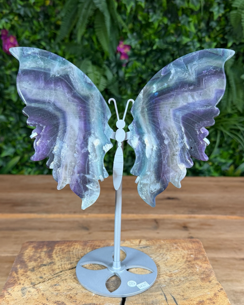 Fluorite butterfly wing crystal carving on silver stand with purple and green bands.