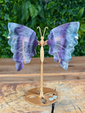 Fluorite butterfly carving displayed on gold stand with natural layered colour.