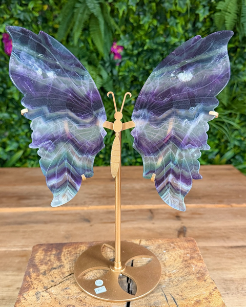 Butterfly wings with a gold stand on a wooden surface with greenery in the background