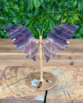 Carved fluorite butterfly wings on gold display stand with natural banding.