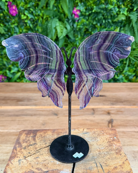Fluorite butterfly wing crystal carving on black stand with green and purple layers.