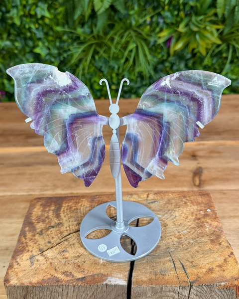 Fluorite butterfly wing carving displayed on a silver metal stand.