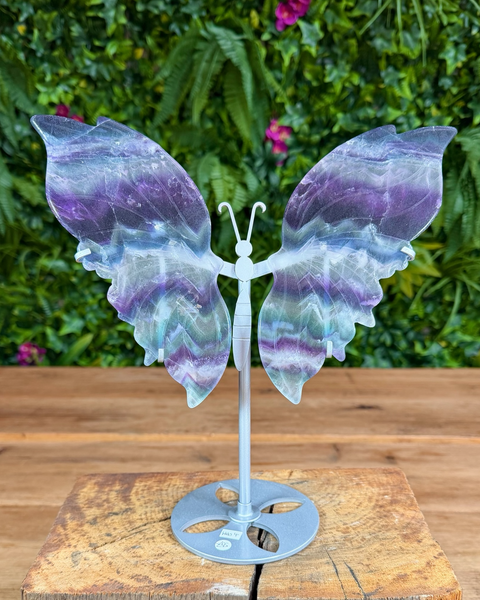 Fluorite butterfly carving on gold display stand with multi-tone banding.