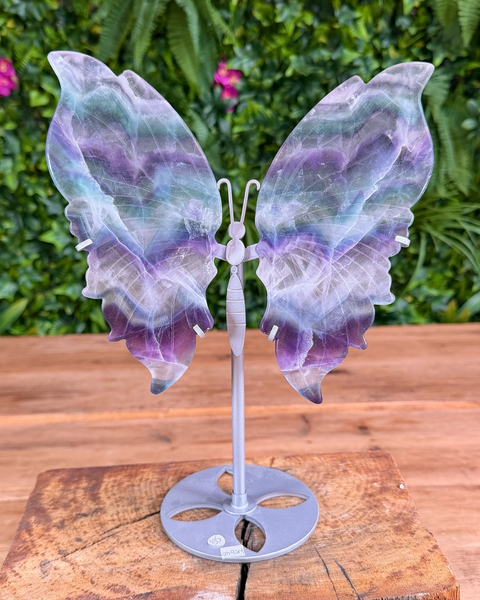Banded fluorite butterfly crystal on silver stand with polished wings.