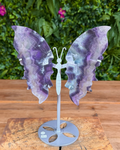 Fluorite butterfly wing carving on polished silver stand with banded colours.