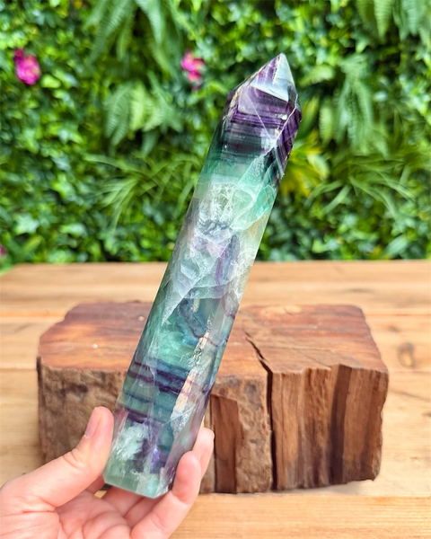 Multicolored crystal held by a hand with a natural background