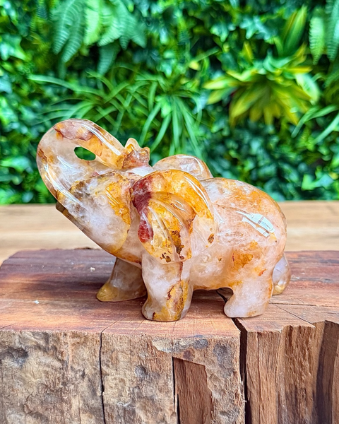 Golden healer quartz elephant figurine on a wooden surface with green foliage in the background