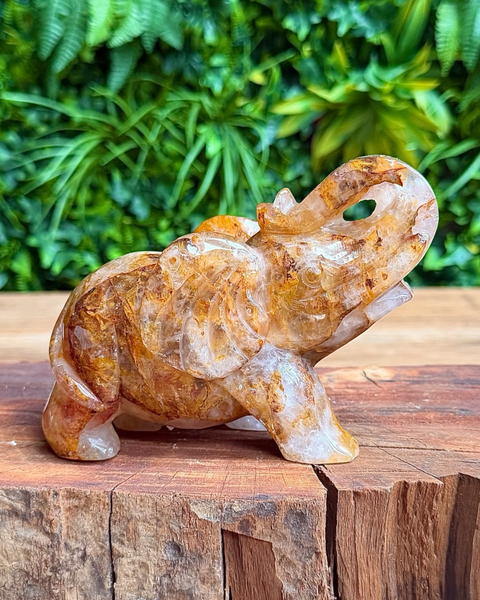 Carved golden healer quartz  elephant on a wooden surface with green foliage in the background