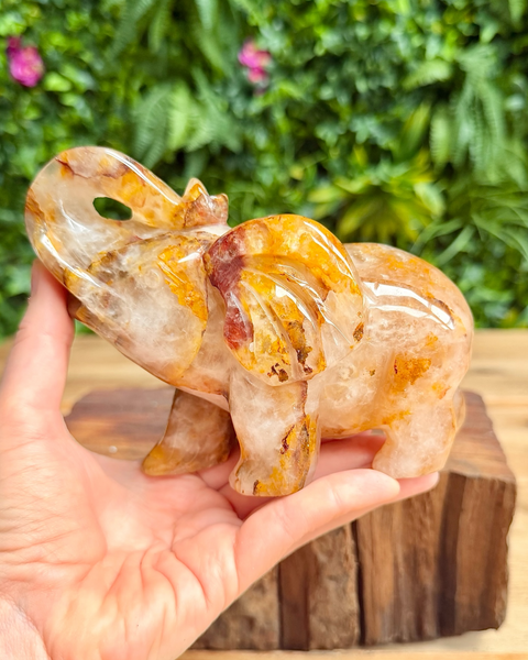 Golden healer quartz elephant carving held in hand