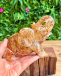 Hand holding a crystal elephant figurine with a natural background