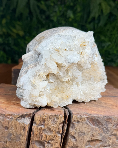 Clear quartz half-carved raw skull