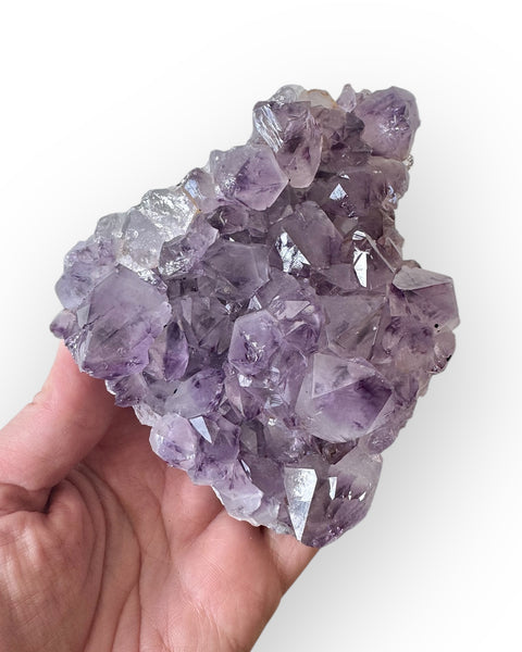 Amethyst cluster (15)