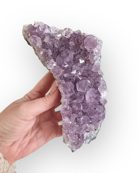 Amethyst cluster (45)