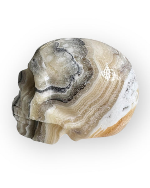 Calcite skull