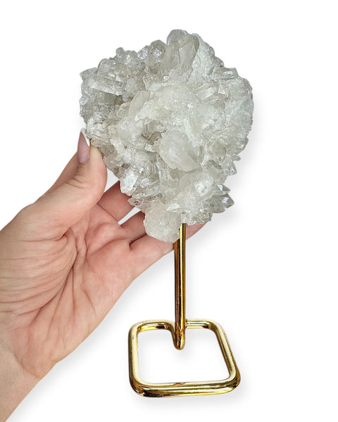 Clear quartz cluster on gold stand