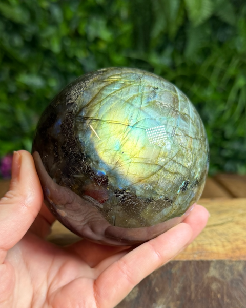 Labradorite sphere with natural yellow gold green iridescent flashes sitting on a display surface, showing its intuitive and protective energy.