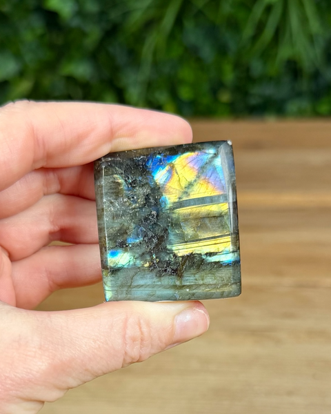 Hand holding a labradorite crystal with colorful patterns against a blurred natural background