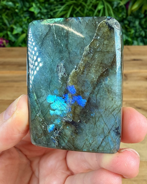 Polished labradorite stone with blue and green colors held in a hand against a blurred natural background.