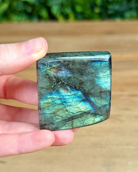 Hand holding a labradorite stone with a blurred green background