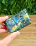Hand holding a labradorite crystal with colorful patterns against a blurred green background
