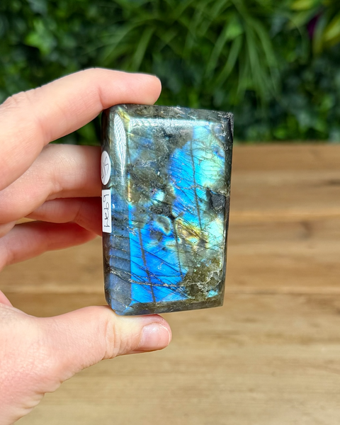 Small Labradorite freeforms