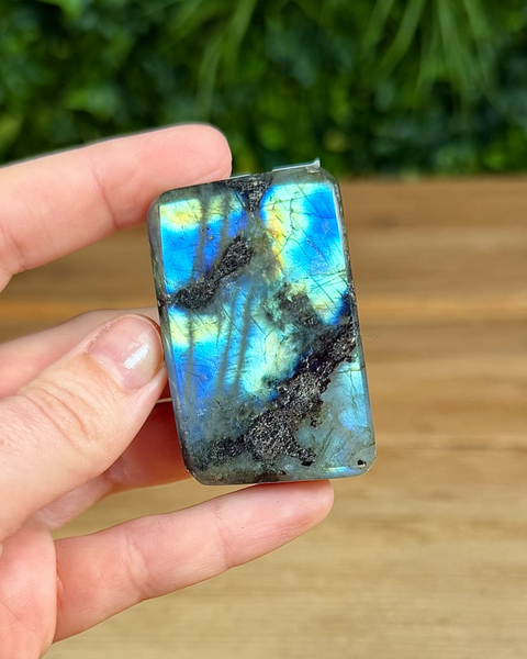 Small Labradorite freeforms