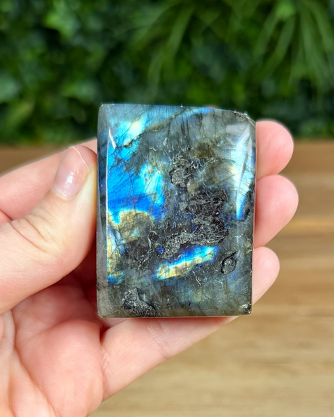 Small Labradorite freeforms