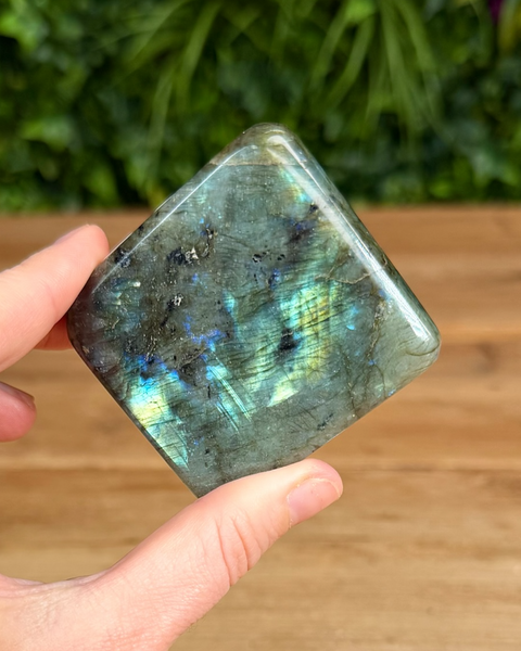 Small Labradorite freeforms