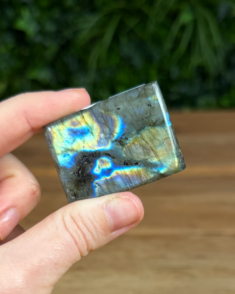 Small Labradorite freeforms