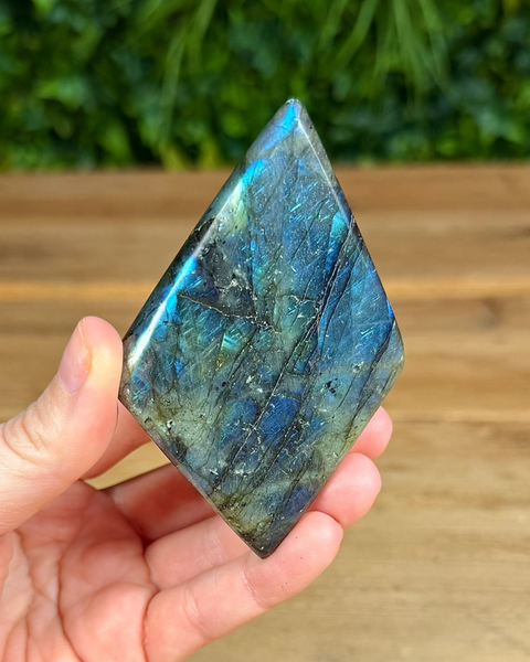 Small Labradorite freeforms