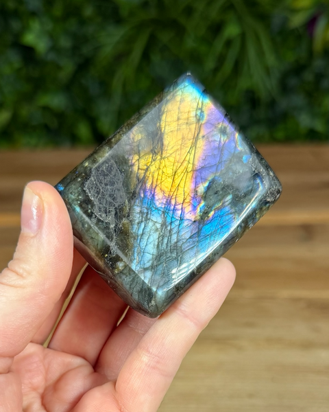 Small Labradorite freeforms