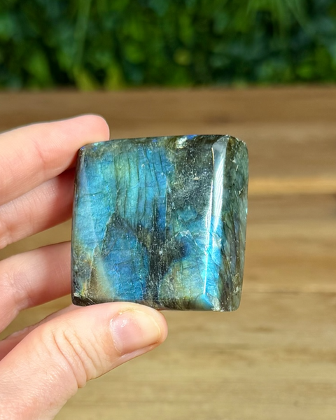 Small Labradorite freeforms
